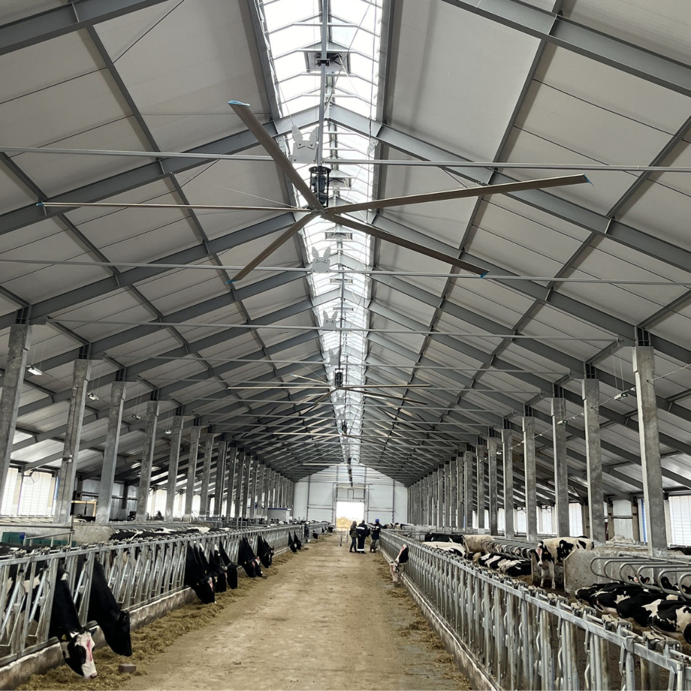 Ventilators Big Air PÜRe